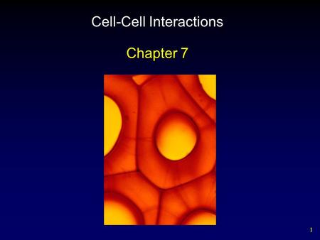 1 Cell-Cell Interactions Chapter 7. 2 Outline Cell Signaling Receptor Proteins – Intracellular Receptors – Cell Surface Receptors Initiating the Intracellular.