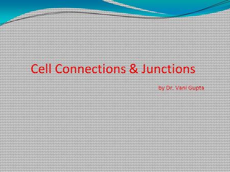 Cell Connections & Junctions by Dr. Vani Gupta
