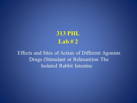 313 PHL Lab # 2 Effects and Sites of Action of Different Agonists Drugs (Stimulant or Relaxant)on The Isolated Rabbit Intestine.