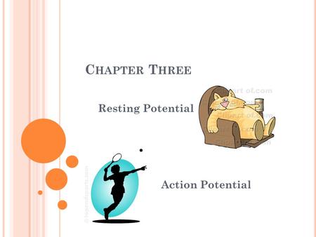 C HAPTER T HREE Resting Potential Action Potential.