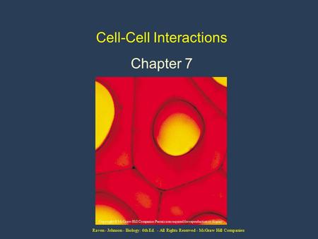 Raven - Johnson - Biology: 6th Ed. - All Rights Reserved - McGraw Hill Companies Cell-Cell Interactions Chapter 7 Copyright © McGraw-Hill Companies Permission.
