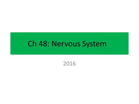 Ch 48: Nervous System 2016. Ch 48: Nervous System From Topic 6.5 Nature of science: Cooperation and collaboration between groups of scientists—biologists.