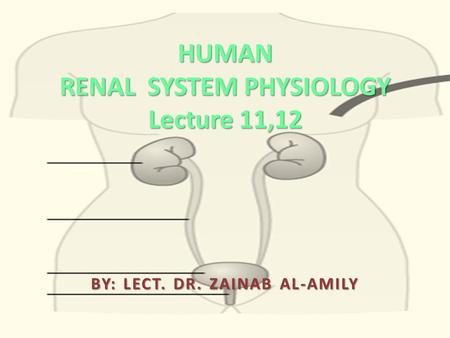 HUMAN RENAL SYSTEM PHYSIOLOGY Lecture 11,12