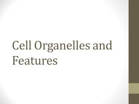 Cell Organelles and Features. Plasma/Cell Membrane Found in both prokaryotes and eukaryotes Structure: Composed of: phospholipids, cholesterol, and proteins.