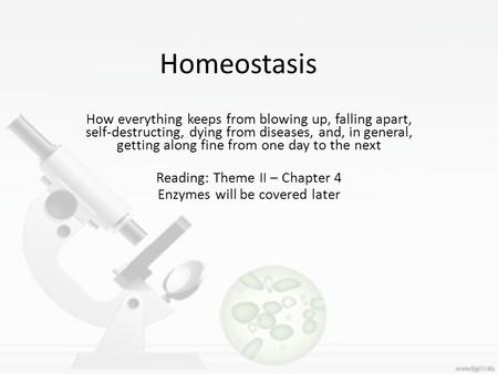 Homeostasis How everything keeps from blowing up, falling apart, self-destructing, dying from diseases, and, in general, getting along fine from one day.