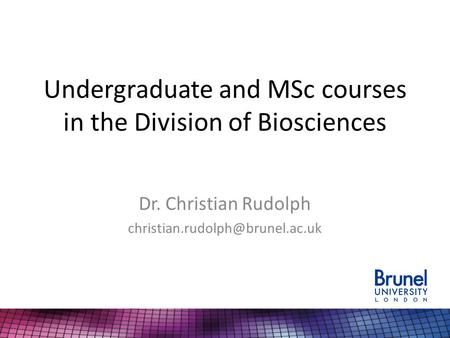 Undergraduate and MSc courses in the Division of Biosciences Dr. Christian Rudolph