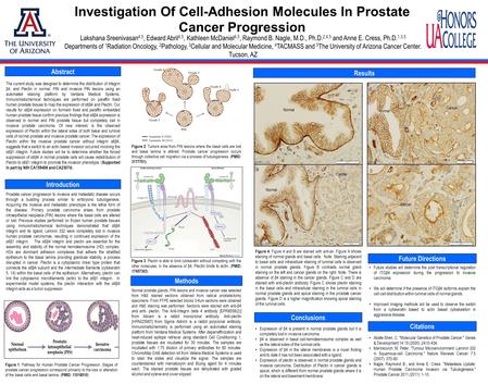 Investigation Of Cell-Adhesion Molecules In Prostate Cancer Progression Abstract. Lakshana Sreenivasan 4,5, Edward Abril 4,5, Kathleen McDaniel 4,5, Raymond.