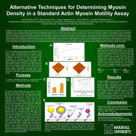 Alternative Techniques for Determining Myosin Density in a Standard Actin Myosin Motility Assay Kevin M. Rice, M.S 1, 2, Shinichi Asano M.S. 1, Hideyo.