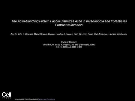 The Actin-Bundling Protein Fascin Stabilizes Actin in Invadopodia and Potentiates Protrusive Invasion Ang Li, John C. Dawson, Manuel Forero-Vargas, Heather.