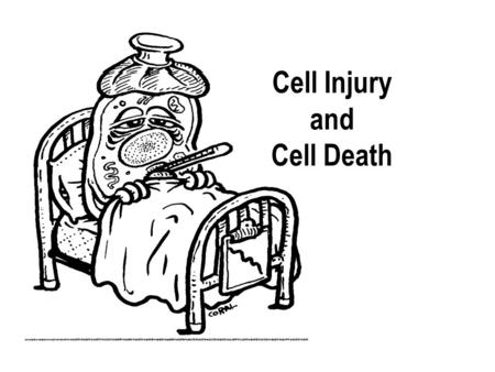 Cell Injury and Cell Death