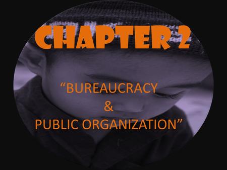CHAPTER 2 “BUREAUCRACY & PUBLIC ORGANIZATION”.