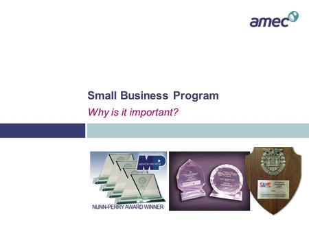 Small Business Program Why is it important?. Role of the AMEC Small Business Program  Identify and promote various small business firms to internal personnel.