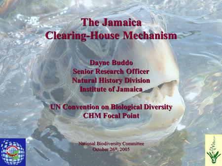 The Jamaica Clearing-House Mechanism Dayne Buddo Senior Research Officer Natural History Division Institute of Jamaica UN Convention on Biological Diversity.