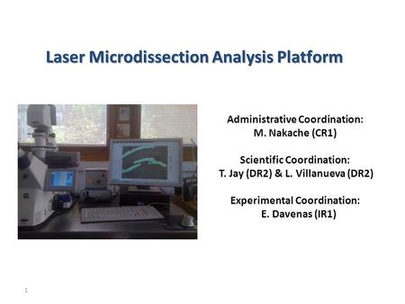 1 Laser Microdissection Analysis Platform Administrative Coordination: M. Nakache (CR1) Scientific Coordination: T. Jay (DR2) & L. Villanueva (DR2) Experimental.