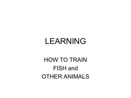 LEARNING HOW TO TRAIN FISH and OTHER ANIMALS. Learning How can you tell if a fish or person is learning? How can a person discriminate if an organism.