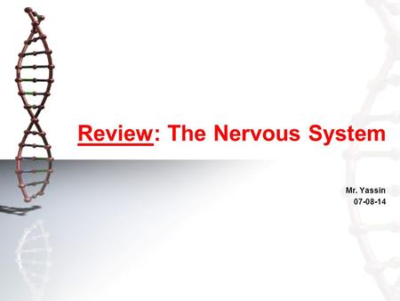 Review: The Nervous System Mr. Yassin 07-08-14. Lesson Intention: Introduction The nervous system: –Structural component –Physiological functions Reflex.