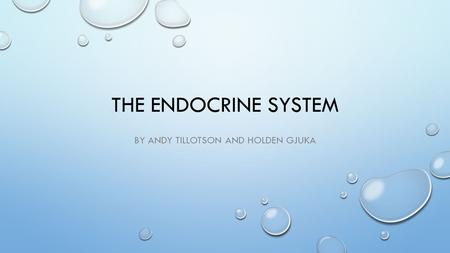 THE ENDOCRINE SYSTEM BY ANDY TILLOTSON AND HOLDEN GJUKA.