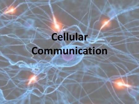 Cellular Communication. Chemical messages which elicit a response in cells serve as a form of communication between cells Found in all cells Similar in.