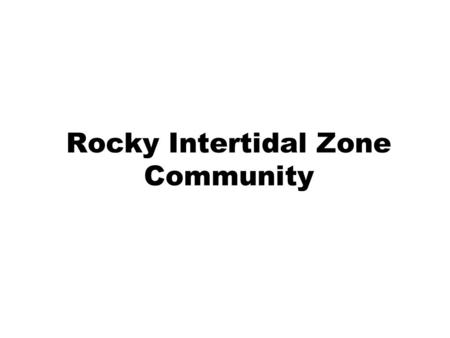 Rocky Intertidal Zone Community. Intertidal Zone Area of the shore between the highest high tide and lowest low tide.