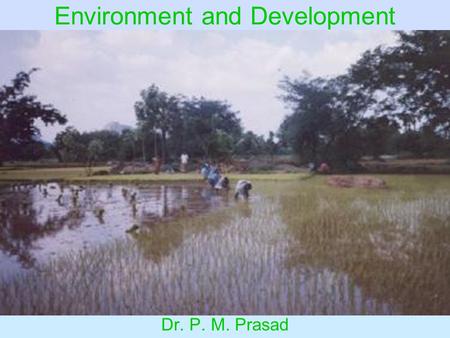 Environment and Development Dr. P. M. Prasad. Environmental Problems Theory of Environmental Policy Environmental Policy in India.