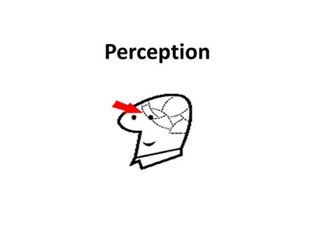 Perception. Perception; is a complex cognitive process that is concerned with selection, organization and interpretation of stimuli. Perception involves.