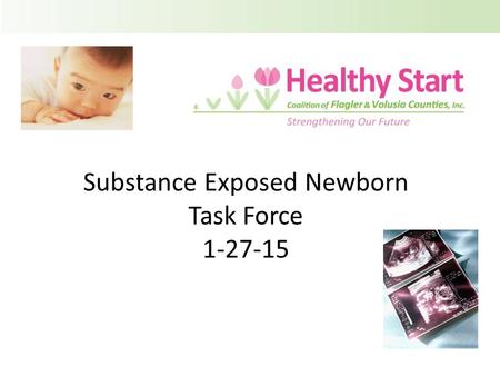 Substance Exposed Newborn Task Force 1-27-15. Agenda 1.Welcome and Introductions 2.Infant Mental Health Chapter Update 3.Women & Infants Substance Abuse.