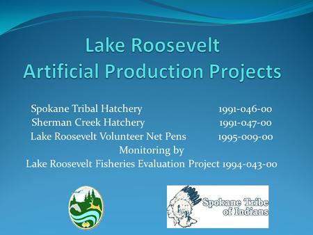 Spokane Tribal Hatchery1991-046-00 Sherman Creek Hatchery 1991-047-00 Lake Roosevelt Volunteer Net Pens 1995-009-00 Monitoring by Lake Roosevelt Fisheries.