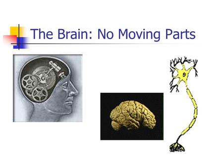 The Brain: No Moving Parts. Neurons Neurons are similar to other cells in the body in some ways such as: 1. Neurons are surrounded by a cell membrane.