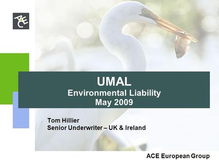 ACE European Group UMAL Environmental Liability May 2009 Tom Hillier Senior Underwriter – UK & Ireland.