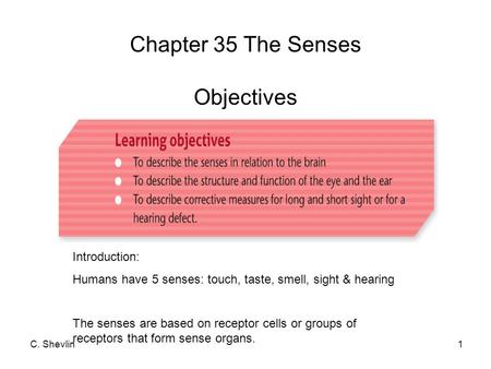 C. Shevlin1 Chapter 35 The Senses Objectives Introduction: Humans have 5 senses: touch, taste, smell, sight & hearing The senses are based on receptor.