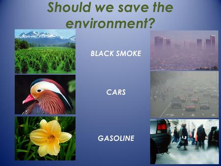 Should we save the environment? CARS GASOLINE BLACK SMOKE.