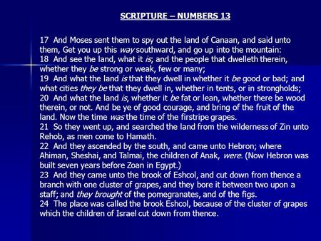 SCRIPTURE – NUMBERS 13 17 And Moses sent them to spy out the land of Canaan, and said unto them, Get you up this way southward, and go up into the mountain: