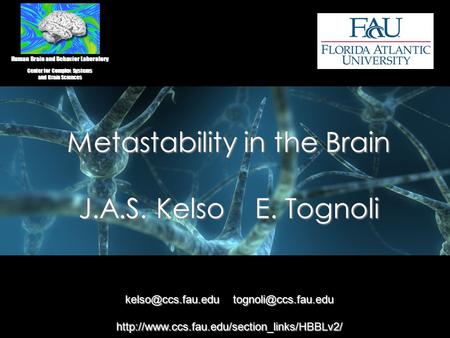 Metastability in the Brain J.A.S. Kelso E. Tognoli Human Brain and Behavior Laboratory Center for Complex Systems and Brain Sciences