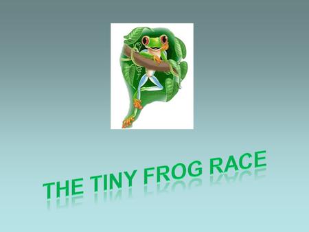There once was a bunch of tiny frogs,... … who arranged a running competition.