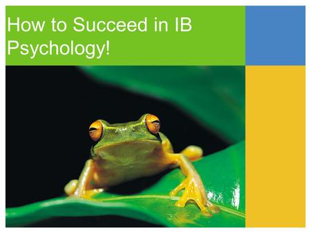 How to Succeed in IB Psychology!. DO NOT PROCRASTINATE Start your portfolio as soon as possible. Put bullet points or take note of important studies.