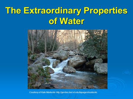 The Extraordinary Properties of Water Courtesy of Kate Morkeski