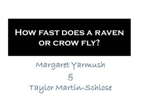 How fast does a raven or crow fly?