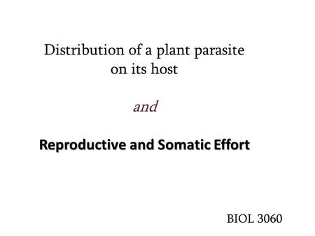 Reproductive and Somatic Effort Distribution of a plant parasite on its host and Reproductive and Somatic Effort BIOL 3060.