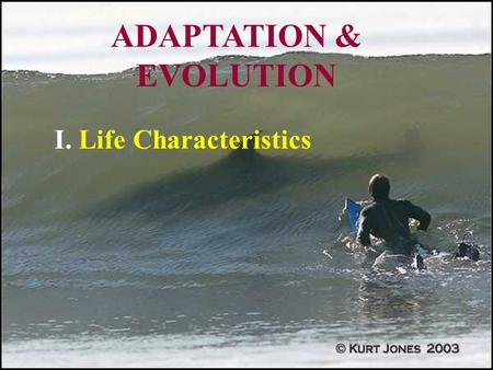 ADAPTATION & EVOLUTION I. Life Characteristics. 1. Highly Organized.