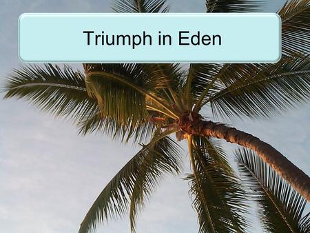 Triumph in Eden. “be fruitful and multiply and replenish the earth”