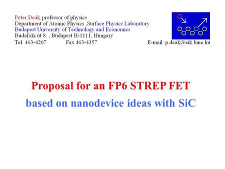 Proposal for an FP6 STREP FET based on nanodevice ideas with SiC.