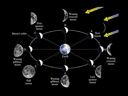 Synodic vs. sidereal month If you see the Moon setting and it is full, what did the Moon look like when it was on the eastern horizon 12 hours earlier?