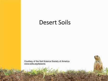 Desert Soils. Deserts can be HOT or COLD. But they are all very DRY. All deserts have more evaporation then rainfall. Deserts cover 20-35% of the Earth’s.