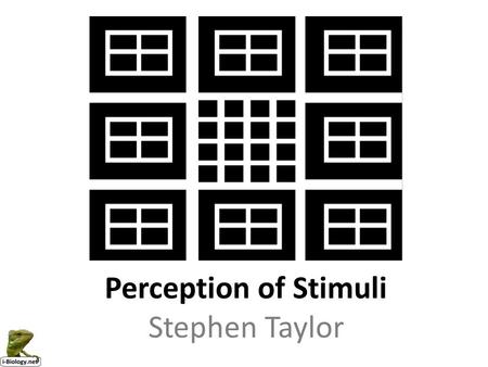 Perception of Stimuli Stephen Taylor.