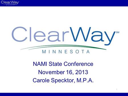 NAMI State Conference November 16, 2013 Carole Specktor, M.P.A. 1.
