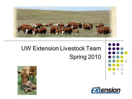 Sexed Semen and Beef Cattle UW Extension Livestock Team Spring 2010.