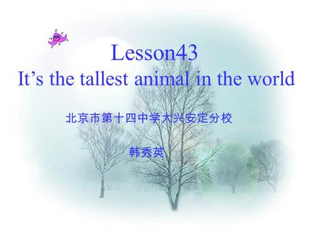 Lesson43 It’s the tallest animal in the world 北京市第十四中学大兴安定分校 韩秀英.