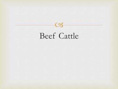  Beef Cattle.  In the United States there are more than 80 recognized breeds of beef cattle.