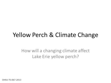 Yellow Perch & Climate Change How will a changing climate affect Lake Erie yellow perch? OHSU-TS-067-2013.