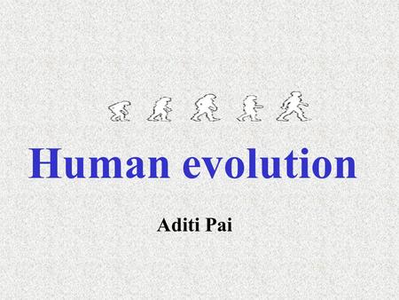Human evolution Aditi Pai. Hominid refers to members of the human family, Hominidae, which consist of all species from the point where the human line.
